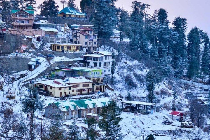 Shimla